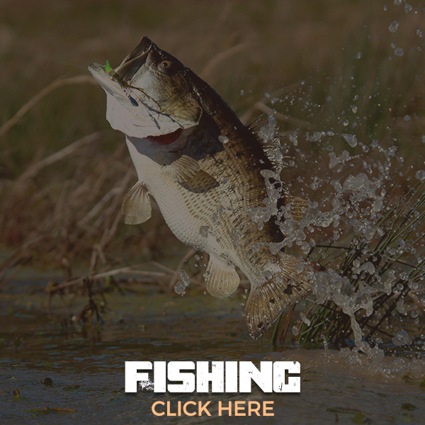 Trophy Florida Gator Hunting By Get Bit Outdoors Gator, Wild Boar