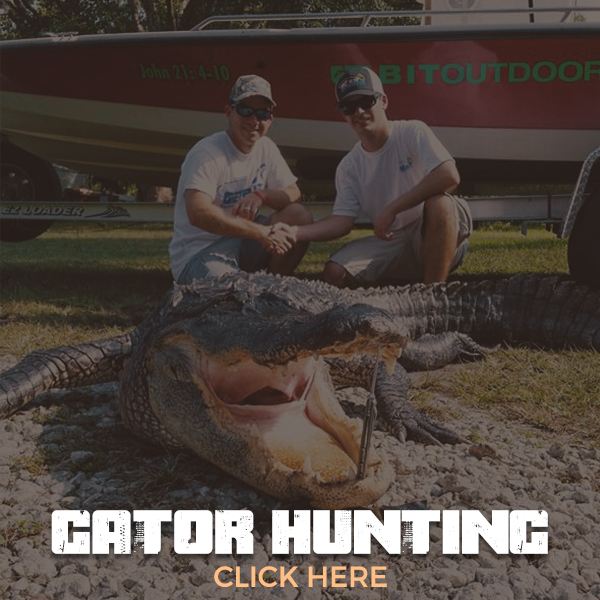 Trophy Florida Gator Hunting By Get Bit Outdoors Gator, Wild Boar